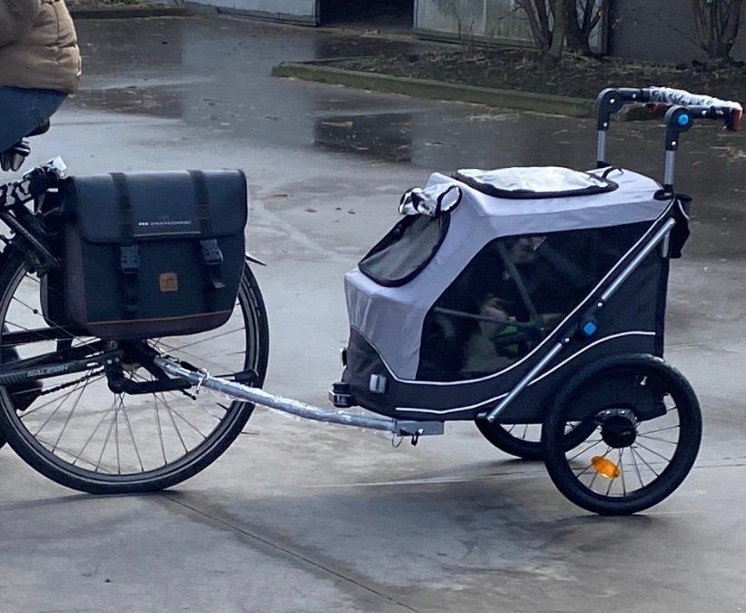 hondenfietskar trixie, Ophalen, Trixie, Opvouwbaar, Zo goed als nieuw