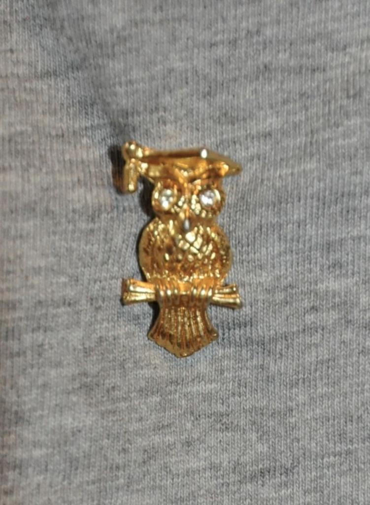 Pin's Hibou métal doré 21x15mm, Enlèvement ou Envoi, Or, Moins de 4 cm, Comme neuf