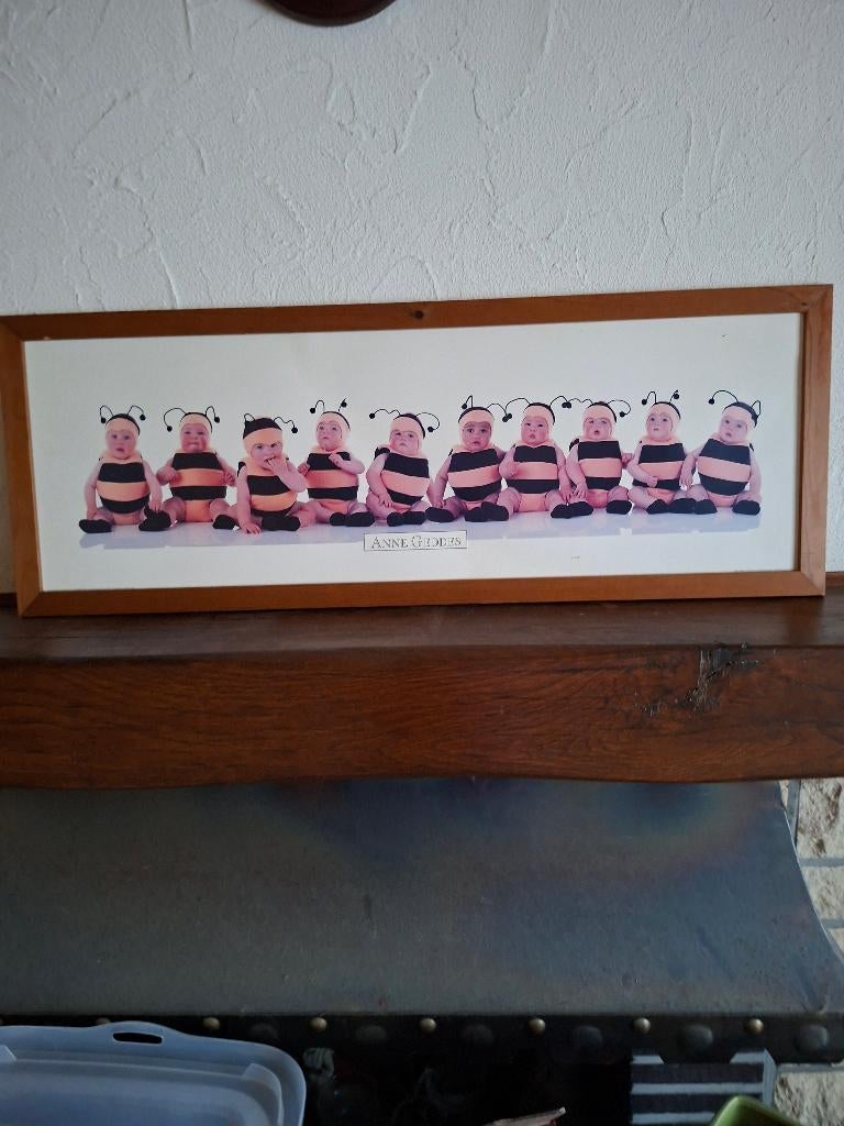 kader anne geddes, Ophalen, Zo goed als nieuw, Wanddecoratie