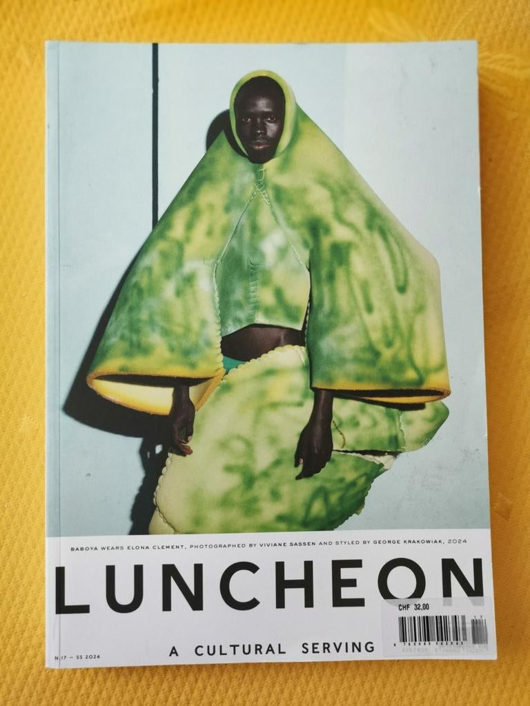 Luncheon magazine n 17 - 2024, Ophalen of Verzenden, Nieuw, Schilder- en Tekenkunst