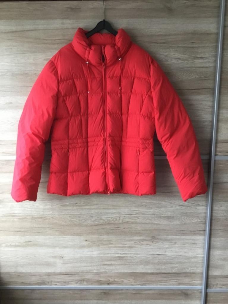 Korte Dames donsjas, Maat 42/44 (L), Betty Barclay, Ophalen of Verzenden, Gedragen