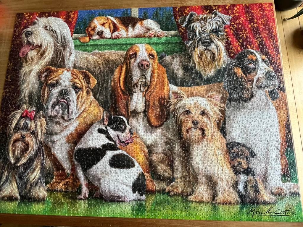 Castorland puzzel 3000 stukjes, Ophalen of Verzenden