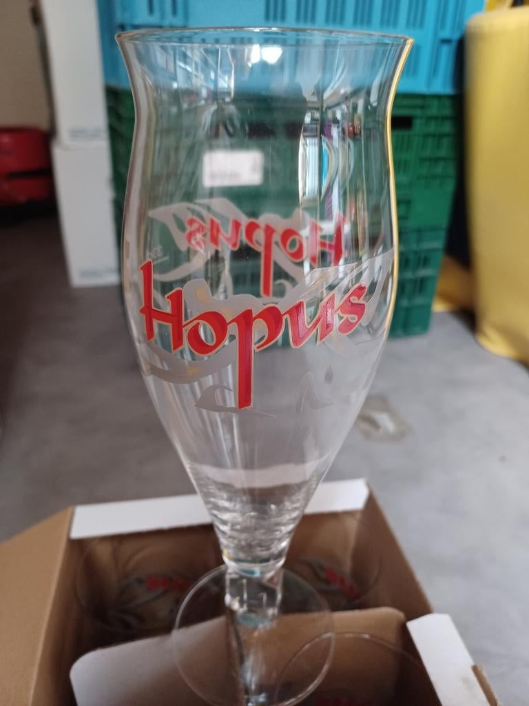 Hopus glazen, Enlèvement ou Envoi, Neuf