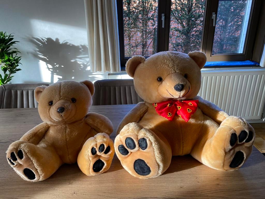 Grand et petit ours, Enlèvement ou Envoi, Comme neuf