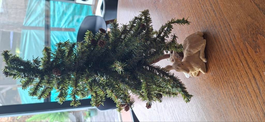 Kerstboompje, Diversen, Kerst, Ophalen