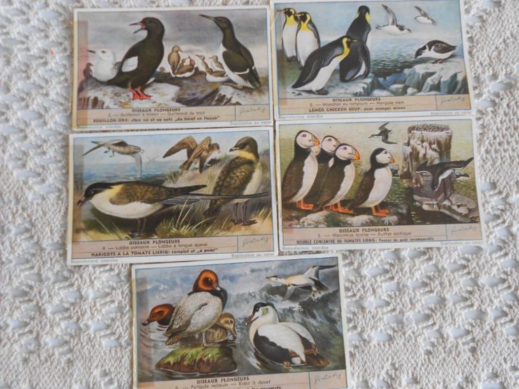 5 chromos Liebig de la série "Oiseaux plongeurs", Enlèvement ou Envoi, Gravure, Utilisé, 1940 à 1960