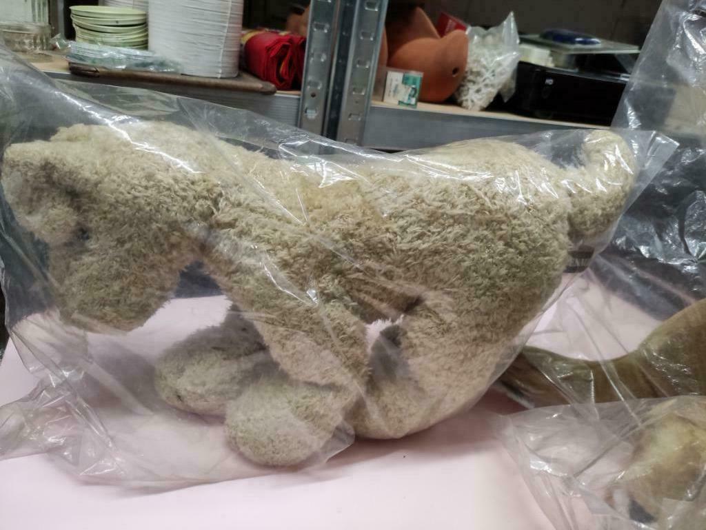 peluches, Enlèvement, Neuf, Chien