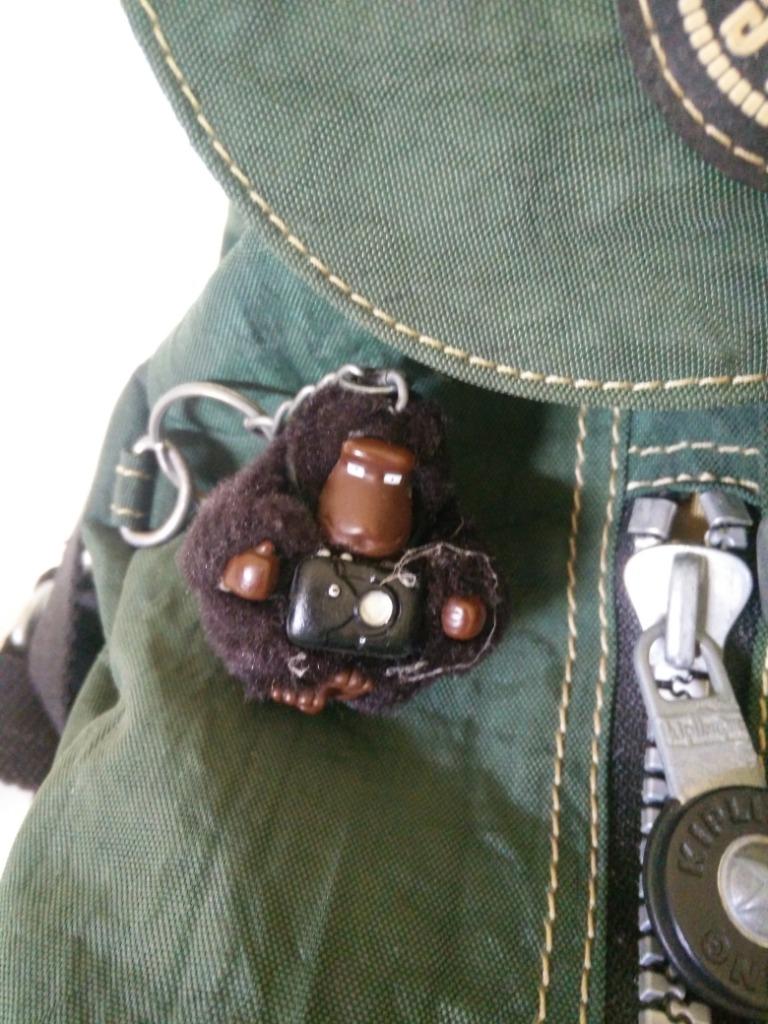 Kipling aap monkey Edward, Ophalen