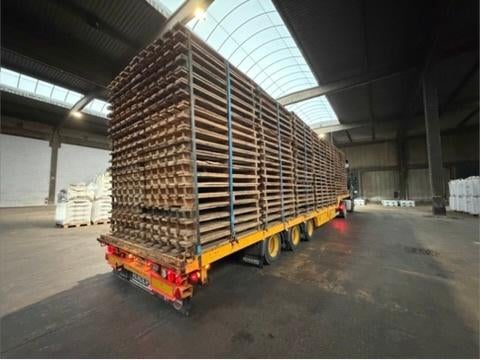 Haven pallets, Ophalen, Gebruikt, 25 tot 50 mm, Beuken