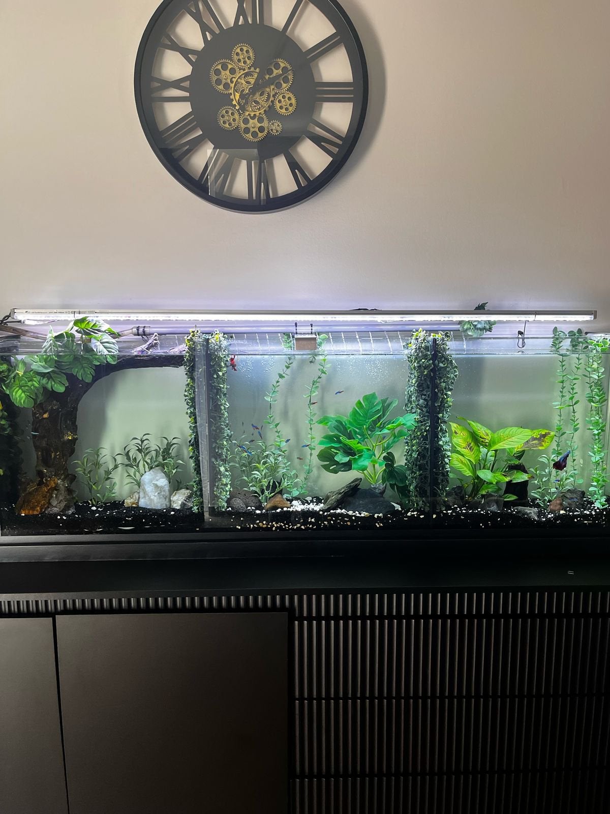Aquarium 180cm x 60cm x 25cm, Tuin en Terras, Ophalen, Gebruikt