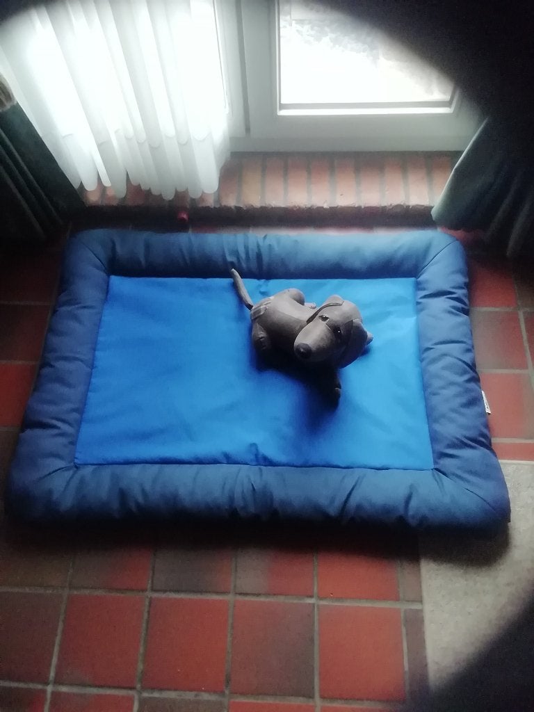 Koelkussen, Dieren en Toebehoren, Ophalen, Zo goed als nieuw