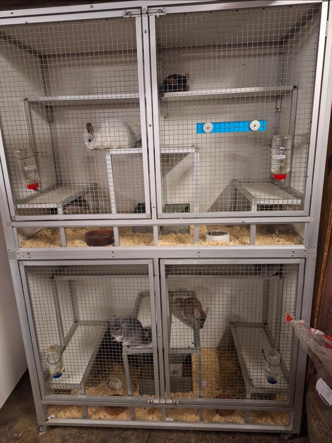 trespa chinchilla kooien, Animaux & Accessoires, Enlèvement, Niche, Chinchilla