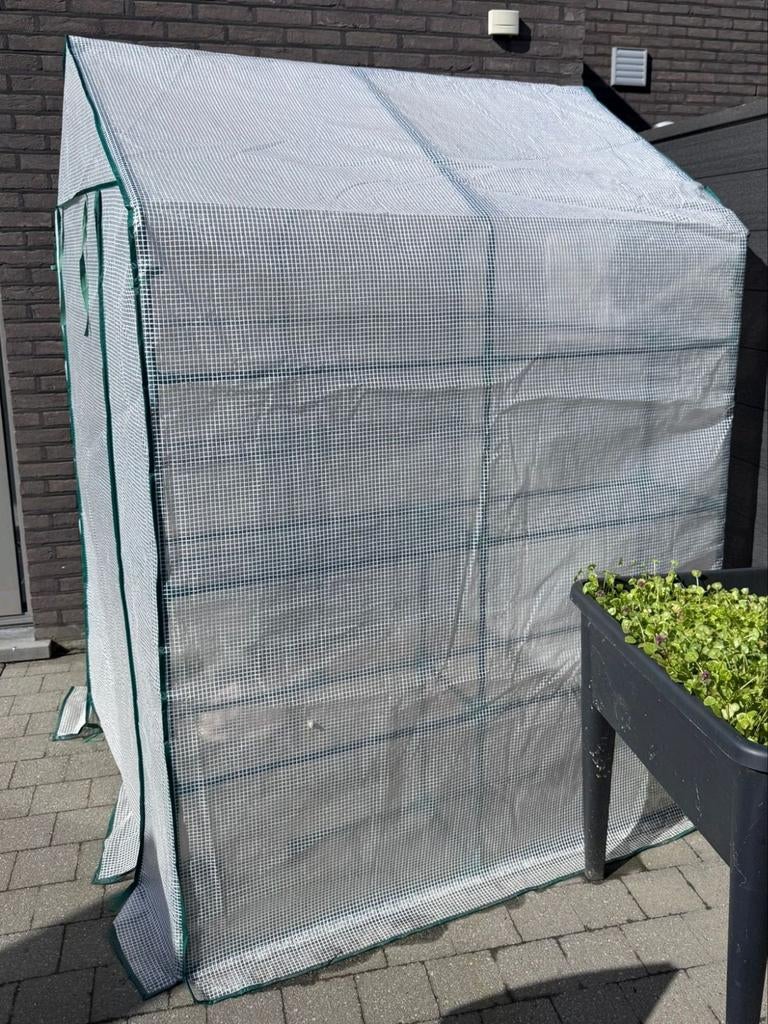 Stevige tuinserre / tuinkas 143 x 143 x 195 (demonteerbaar), Tuin en Terras, Kassen, Ophalen, Zo goed als nieuw, Aluminium, Kweekkas