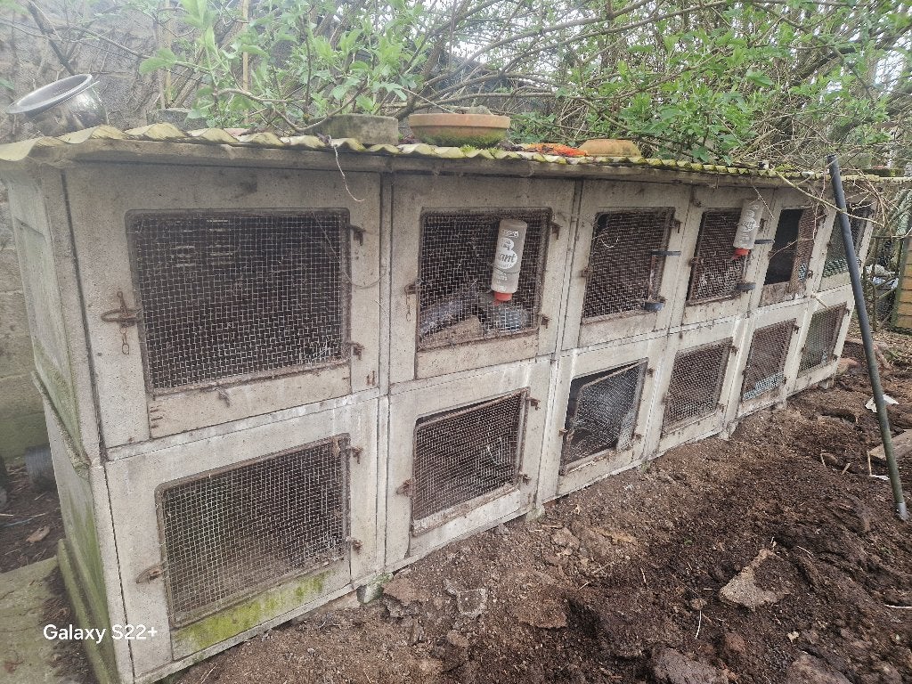 Clapiers betons 12 et 9, Animaux & Accessoires, 75 à 110 cm, Cage, Cobaye, Enlèvement