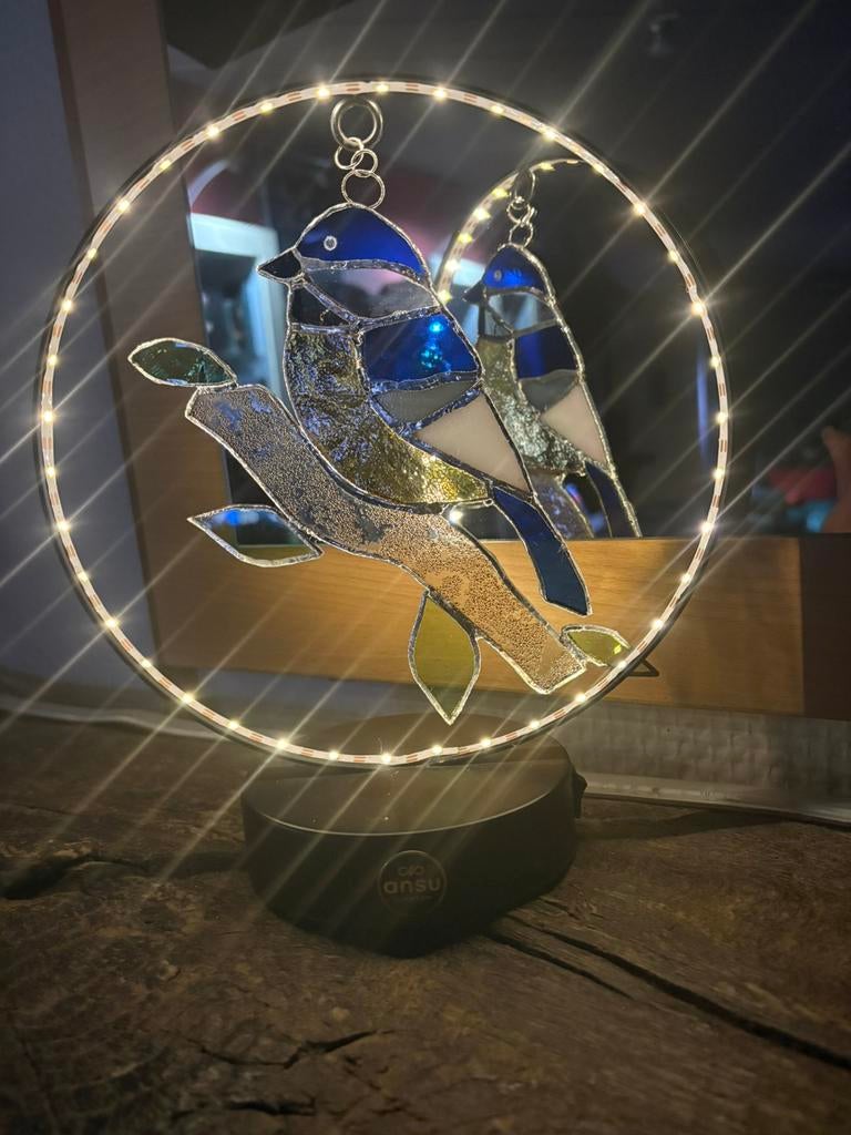 Oiseau en vitrail, Enlèvement, Neuf, Autres thèmes