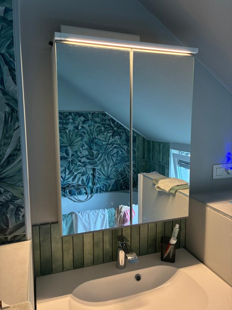 Meuble pharmacie miroir salle de bain, Armoire à miroir, Moins de 25 cm, Moins de 100 cm, Enlèvement