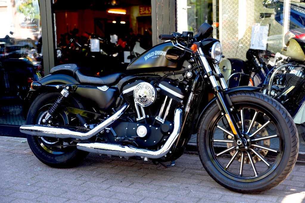 HARLEY DAVIDSON IRON 883 ***MOTOVERTE.BE***, Entreprise, Occasion, Chopper, 2 cylindres