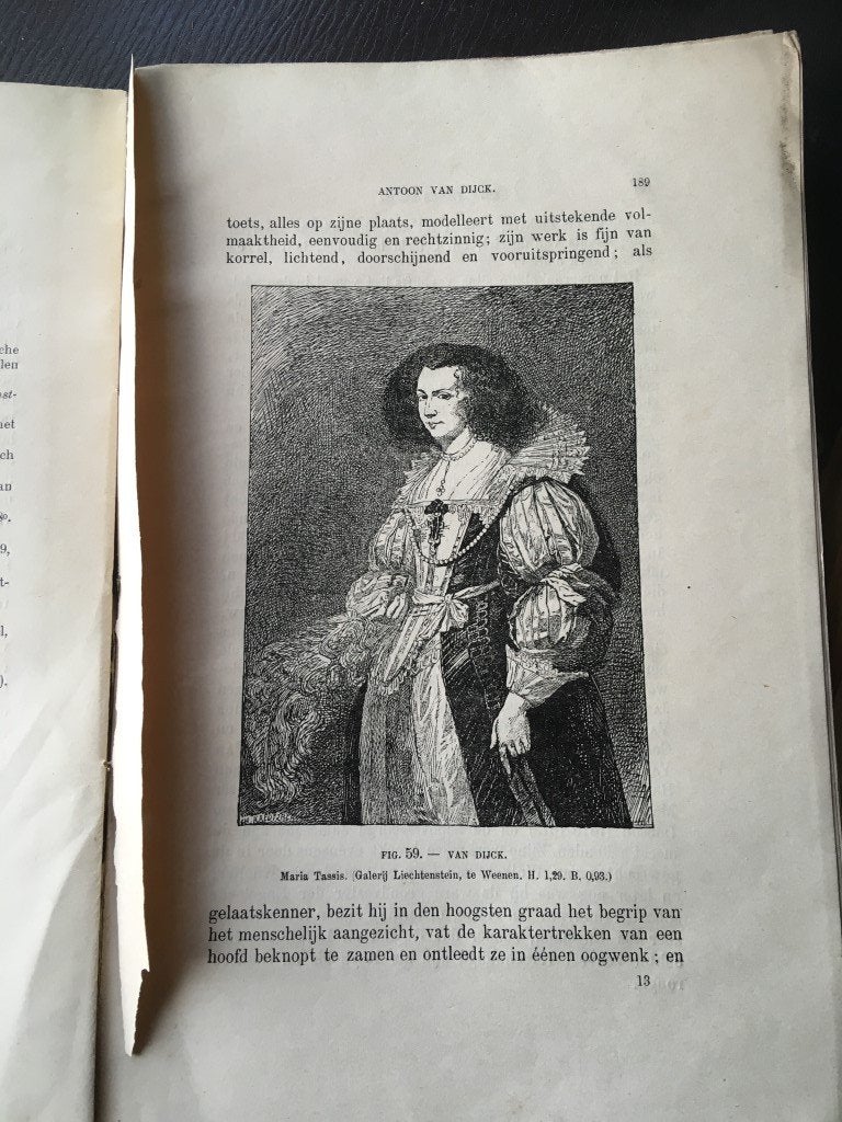 boek Vlaamsche schilderkunst - A.J. WAUTERS - 17 tot19 e, Antiek en Kunst, Ophalen of Verzenden