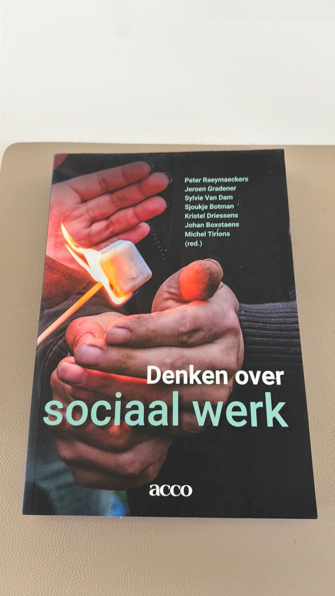 Peter Raeymaeckers - Denken over Sociaal Werk, Neuf, Peter Raeymaeckers; Jeroen Gradener; Sylvie Van Dam; Sjoukje ..., Enlèvement