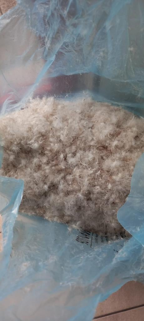 Sac en duvet doux et en plumes, Hobby & Loisirs créatifs, Enlèvement