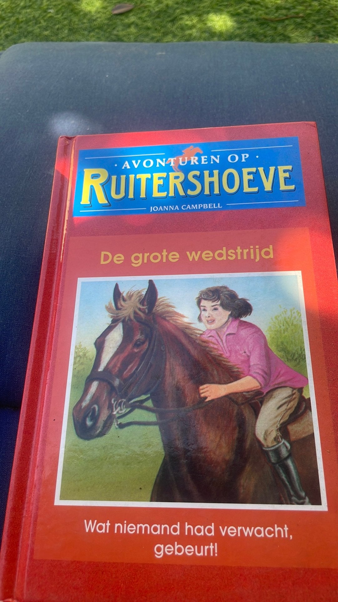 Avonturen op ruitershoeve, Ophalen, Zo goed als nieuw