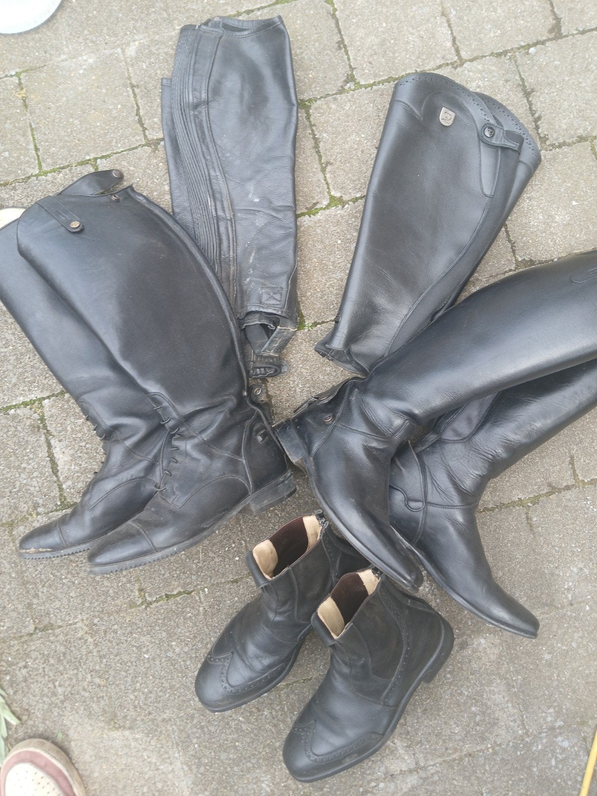 bottes d'équitation, jodphurs et jambières, Femmes, Enlèvement, Utilisé, Fermeture éclair