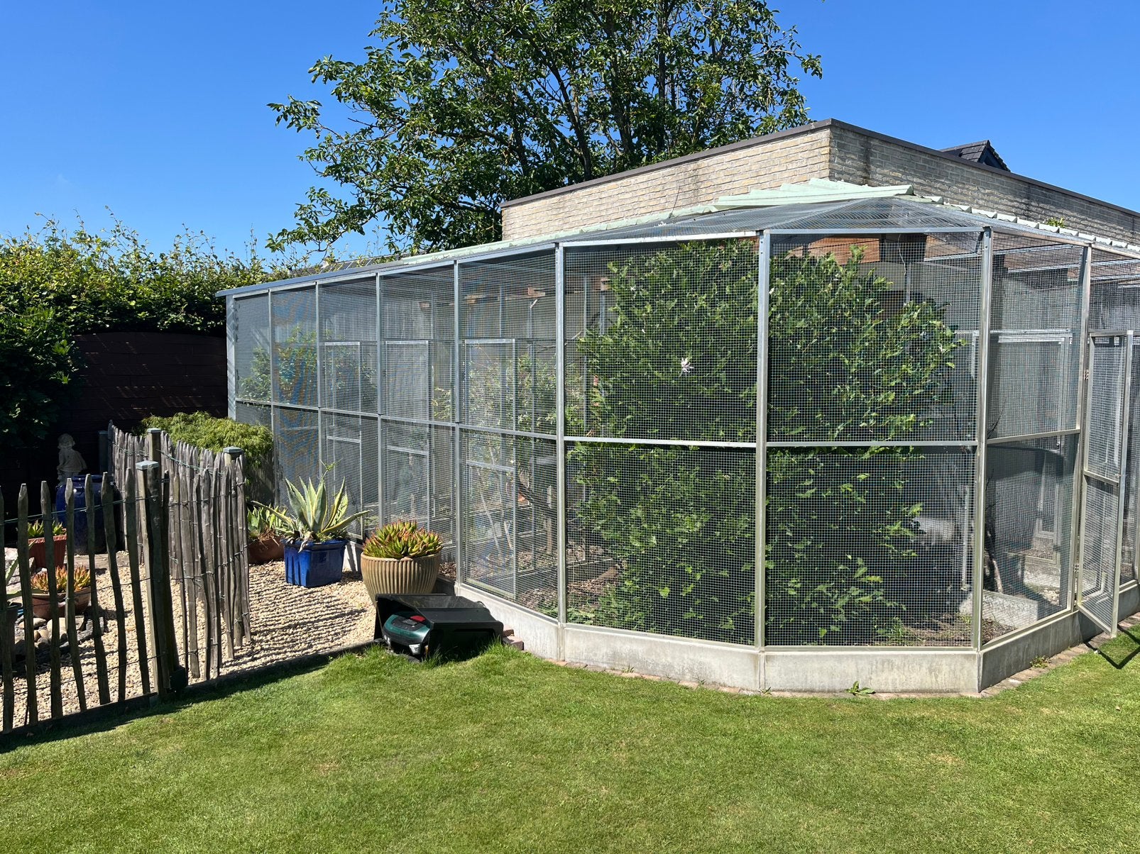 Volière te koop, Dieren en Toebehoren, Ophalen, Zo goed als nieuw, Volière