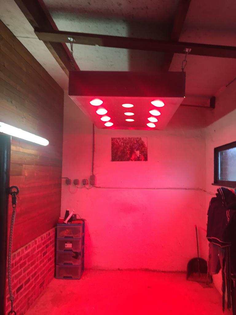 Solarium voor paarden, Dieren en Toebehoren, Ophalen, Nieuw, Overige soorten