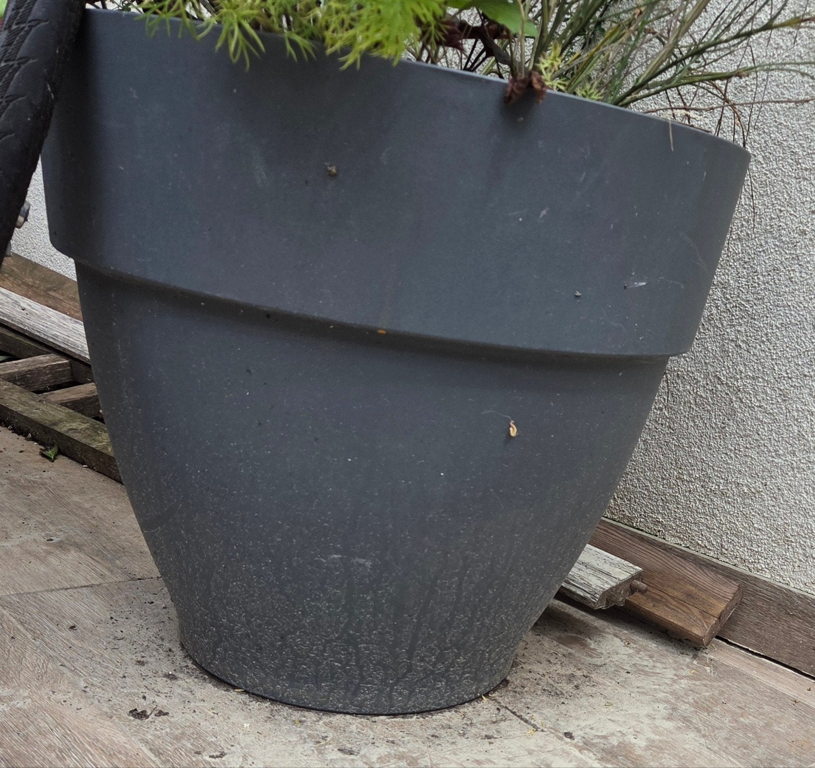 Grote bloempot Elho, Ophalen