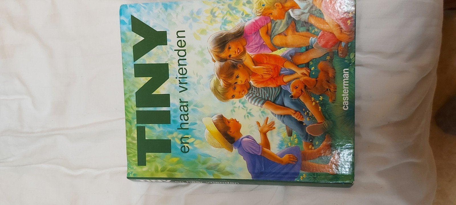 tiny boeken, Ophalen of Verzenden