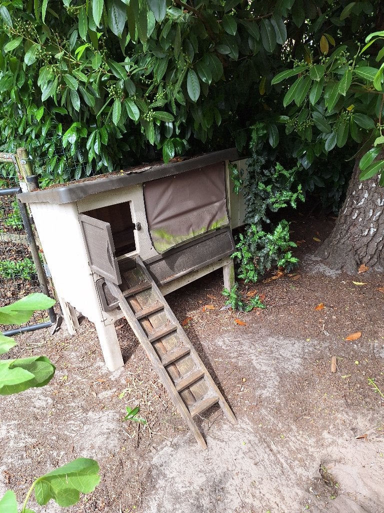 te koop kippenhok, Enlèvement, Utilisé