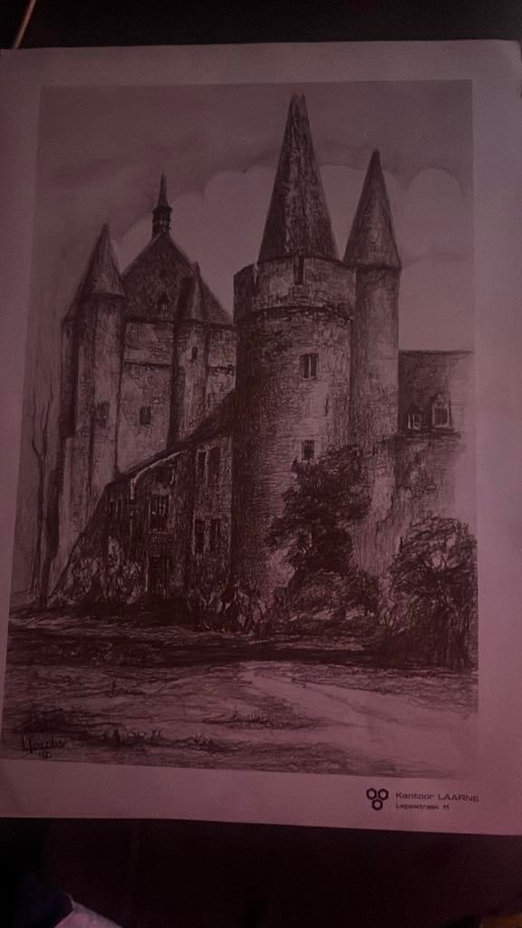 Kasteel Laarne, Antiek en Kunst, Kunst | Tekeningen en Fotografie, Ophalen of Verzenden
