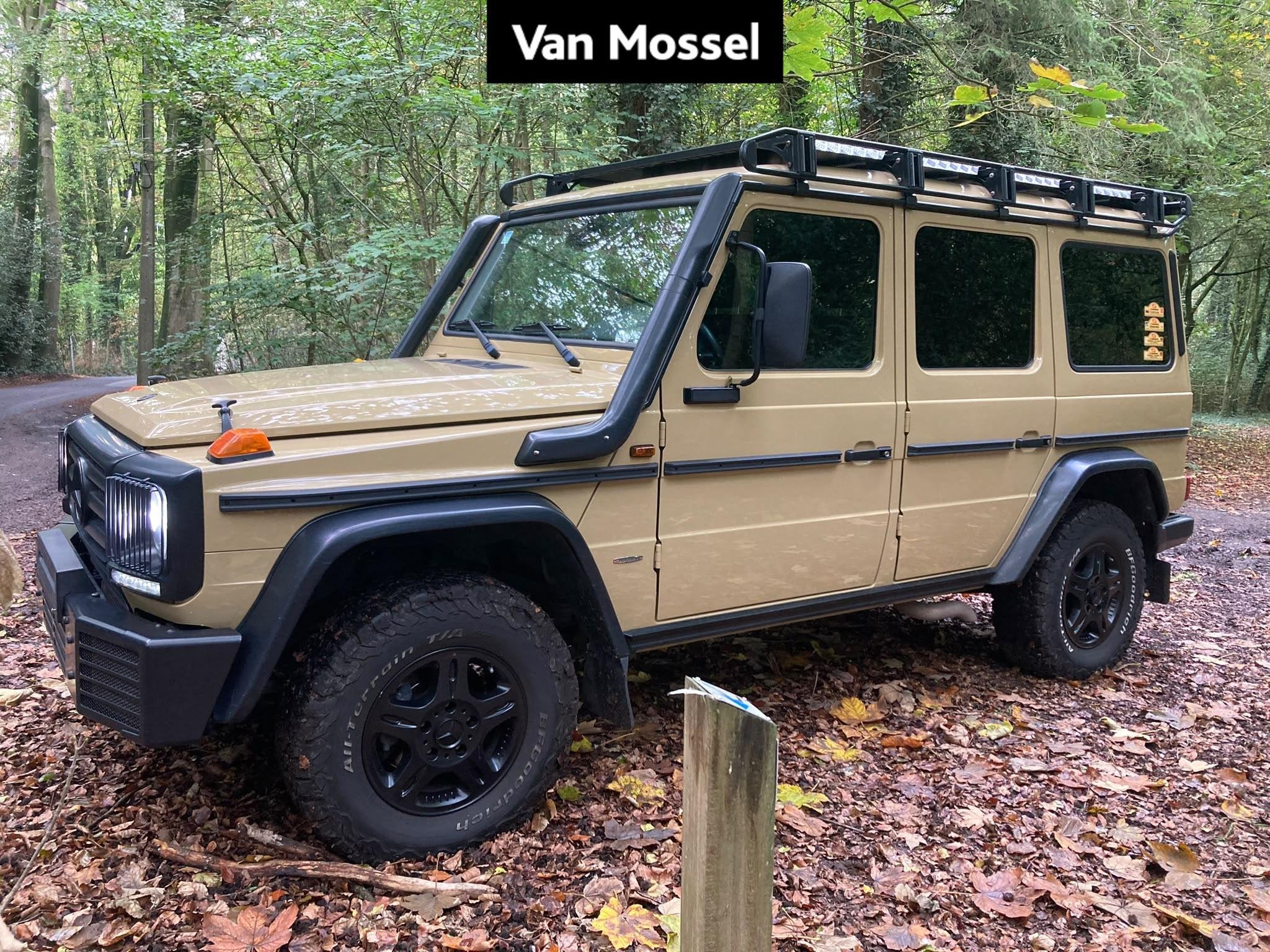 Mercedes-Benz G-Klasse 350 d + PROFFESSIONAL + LICHTE VRACHT, Autos, Argent ou Gris, Achat, 2987 cm³, Euro 6