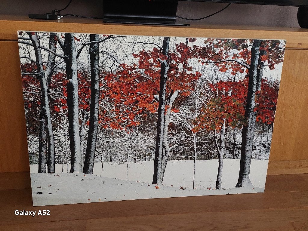 reproductie op kanvas (91x60 cm) - foto van Burney Lieberman, Ophalen, 50 – 75, 75 tot 100 cm, Print