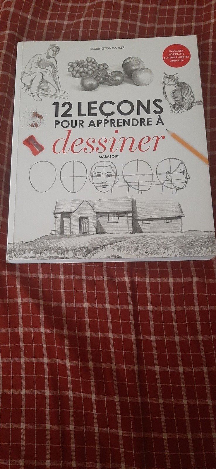 12 leçons pour apprendre à dessiner, Enlèvement ou Envoi