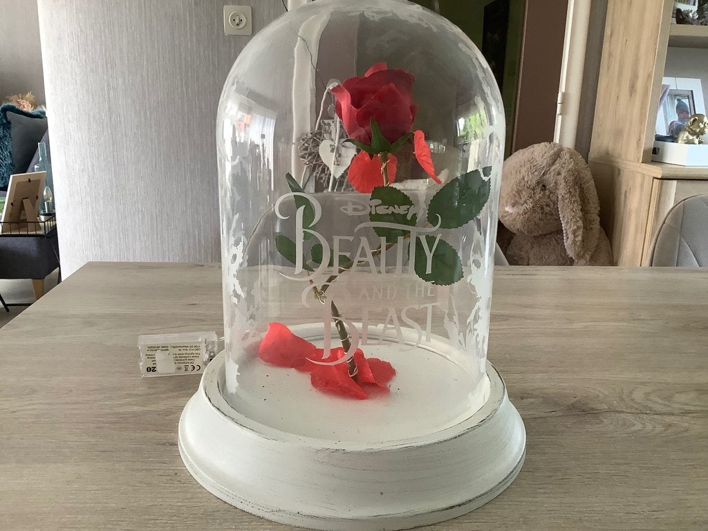 Disney La Belle et la Bête Dôme en verre Paladone avec rose, Enlèvement ou Envoi, Cendrillon ou Belle, Utilisé, Statue ou Figurine