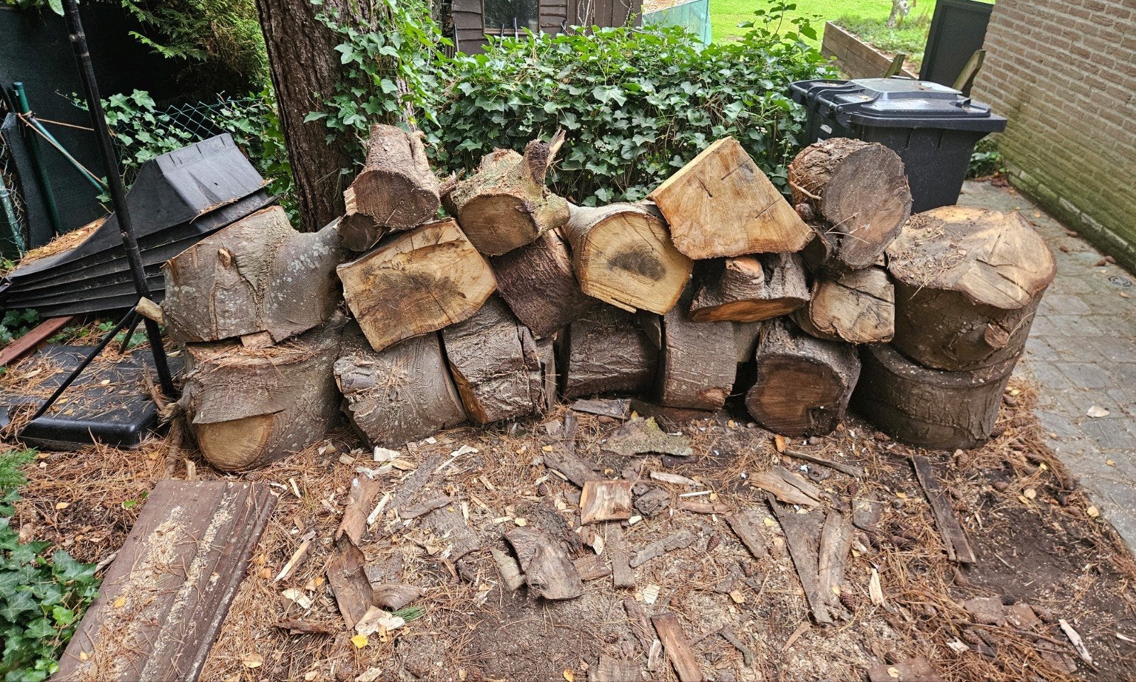 Bon bois de chauffage 1,5 mètre cube, Moins de 3 m³, Enlèvement, Autres essences de bois, Troncs d'arbres