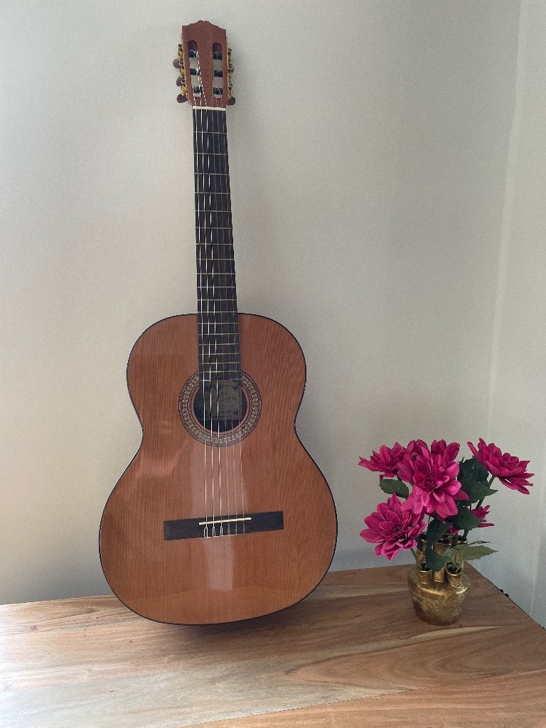 Akoestische gitaar, Ophalen of Verzenden, Zo goed als nieuw, Klassieke of Spaanse gitaar, Met koffer