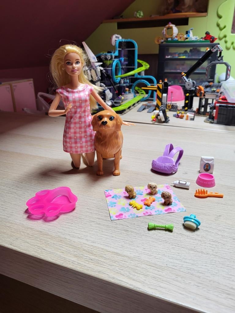 Barbie met zwangere hond, Ophalen