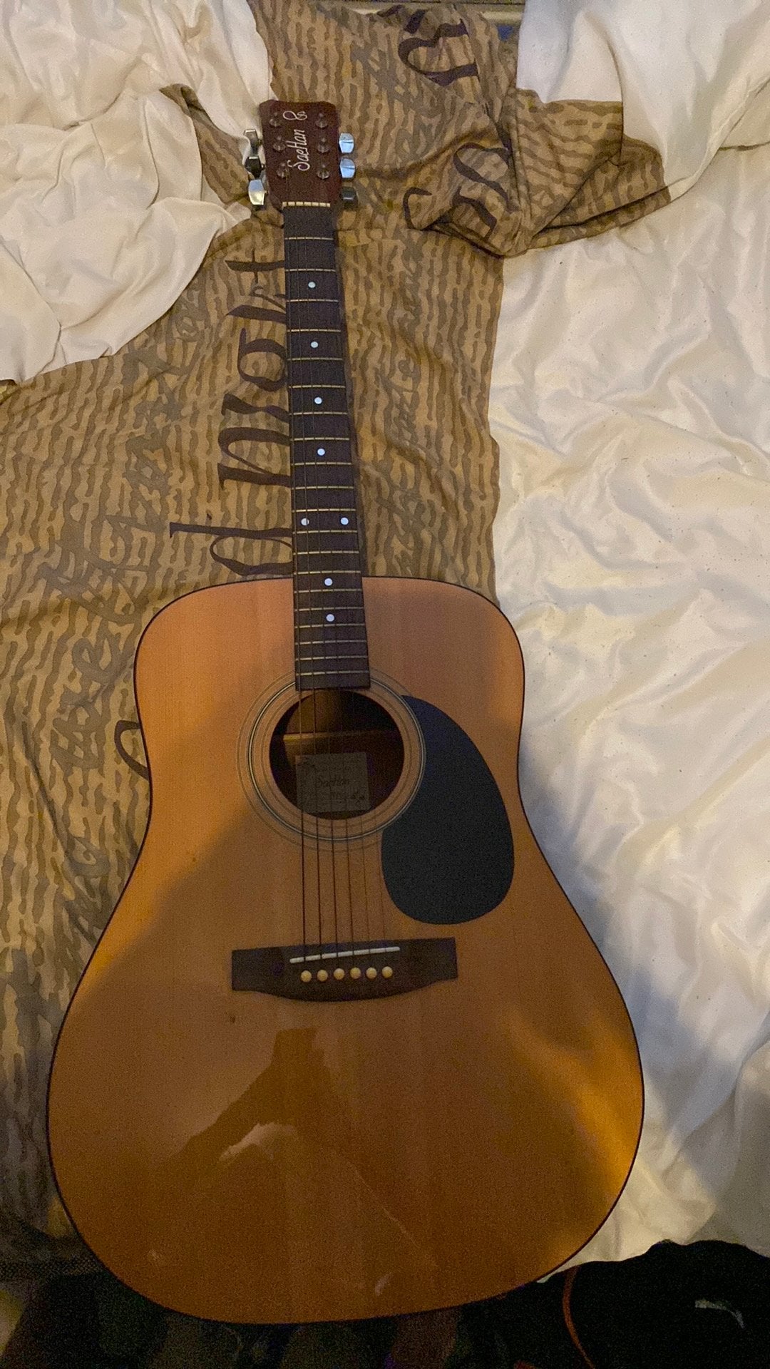 SaeHan akoestische gitaar, Enlèvement, Comme neuf