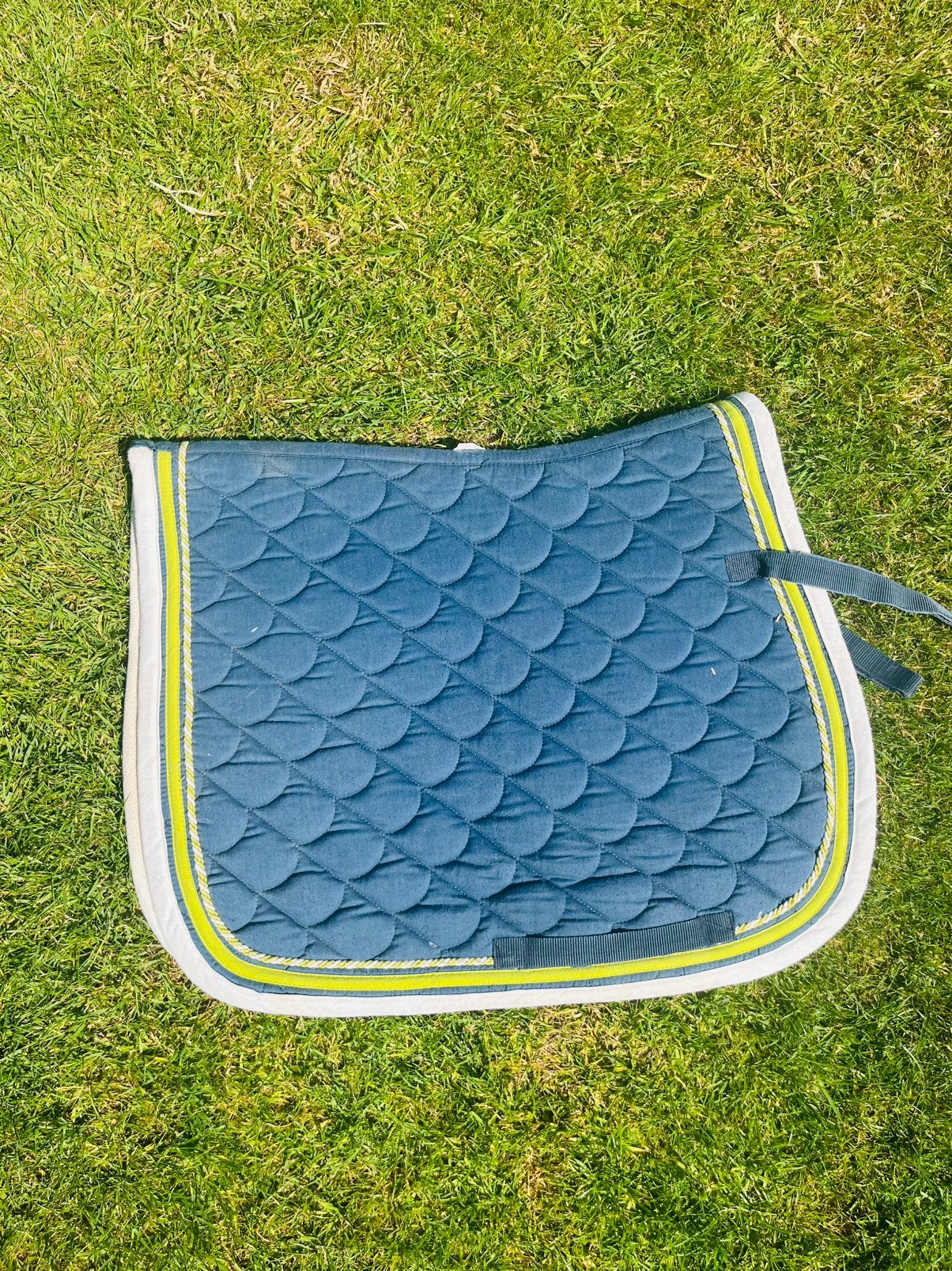 Zadeldoek paard Waldhausen, Dieren en Toebehoren, Ophalen, Zo goed als nieuw