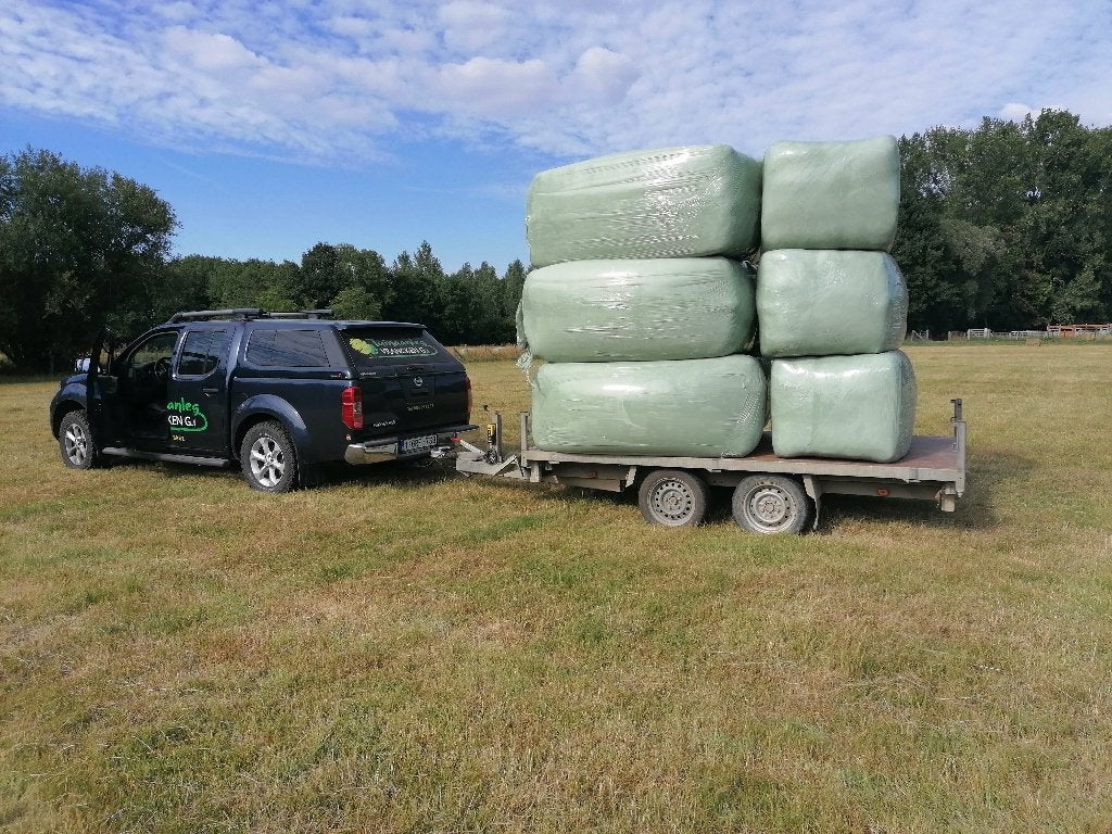 Voordroog te koop, Zakelijke goederen, Landbouw | Veevoer, Ophalen