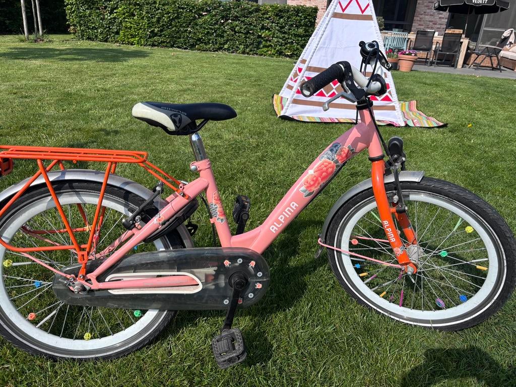 Kinderfiets 20 inch, Fietsen en Brommers, Ophalen, Gebruikt, Velgrem, 20 inch