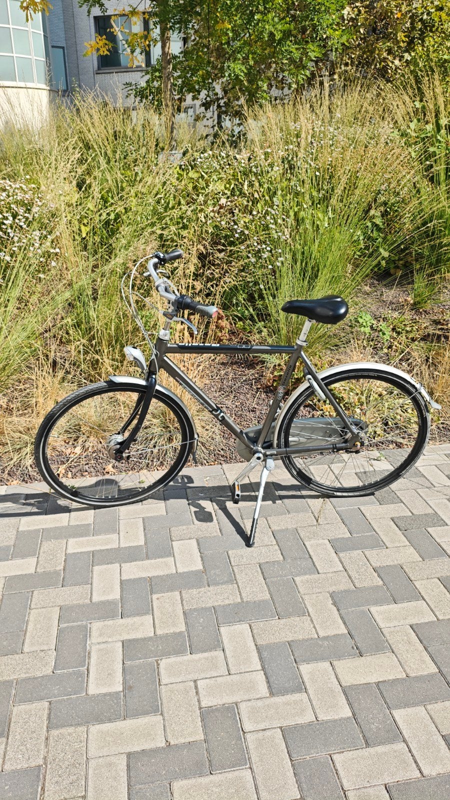 Gazelle Chamonix herenfiets 

herenfiets maat 57, ideaal voo, Fietsen en Brommers, Ophalen, Gazelle