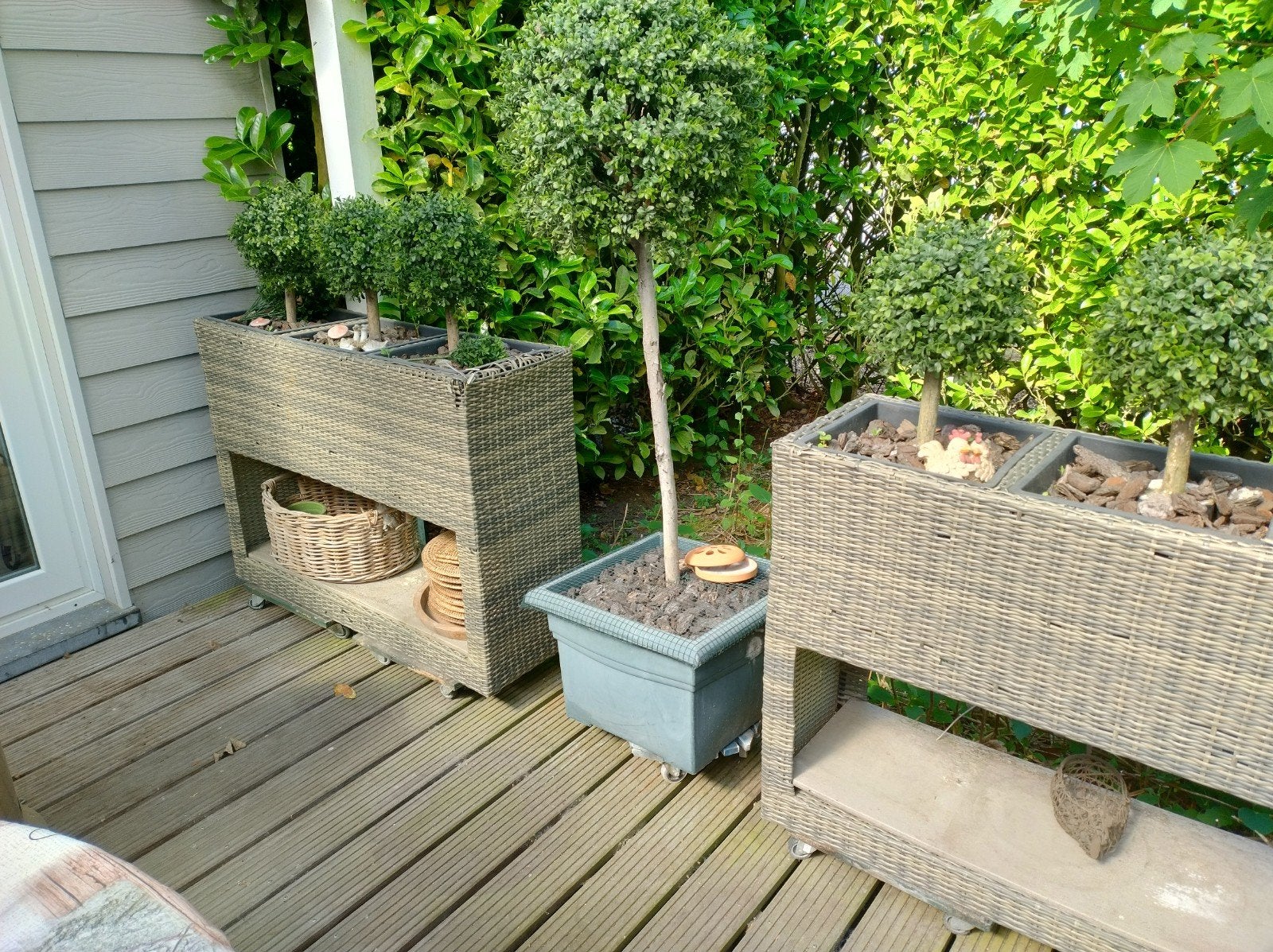 Terrasafscherming plastieken Bonsaiboompjes, Ophalen, Kunststof