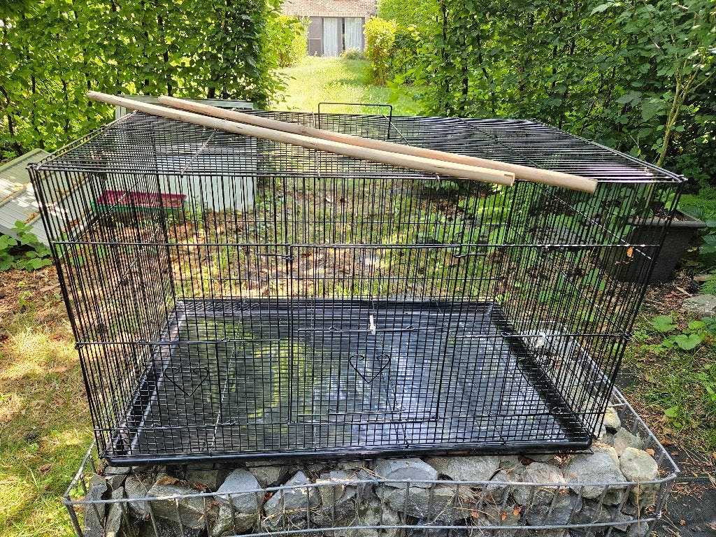 Vogelkooi, Ophalen, Zo goed als nieuw, Vogelkooi