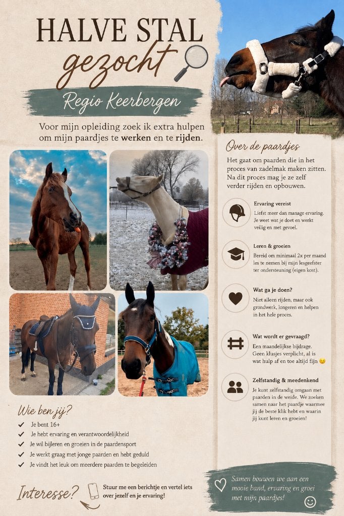 Halve stallen gezocht, Accessoires, 1 cheval ou poney