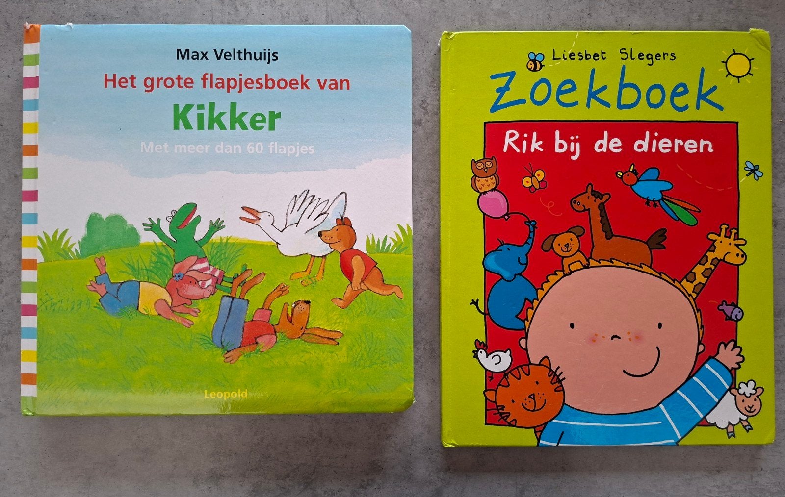 Flapjesboek Kikker & zoekboek Rik, Ophalen, Gelezen