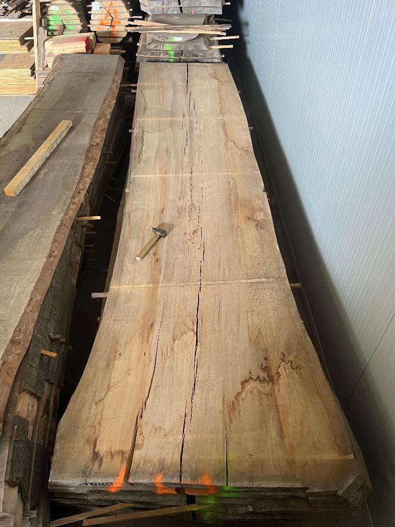 unieke Rode beuken boomstambladen uit plantentuin van Meise, Bricolage & Construction, Bois & Planches, Neuf, 50 mm ou plus, Planche