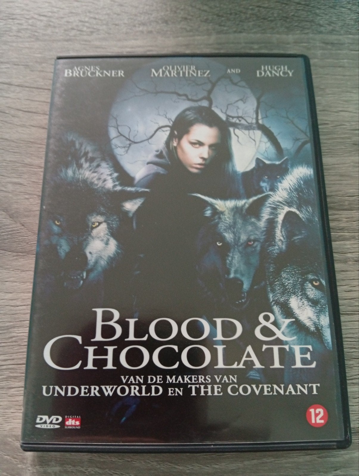 DVD d'horreur Blood & Chocolate Agnes Bruckner, Loups-garous, Enlèvement ou Envoi, Anglais, À partir de 12 ans